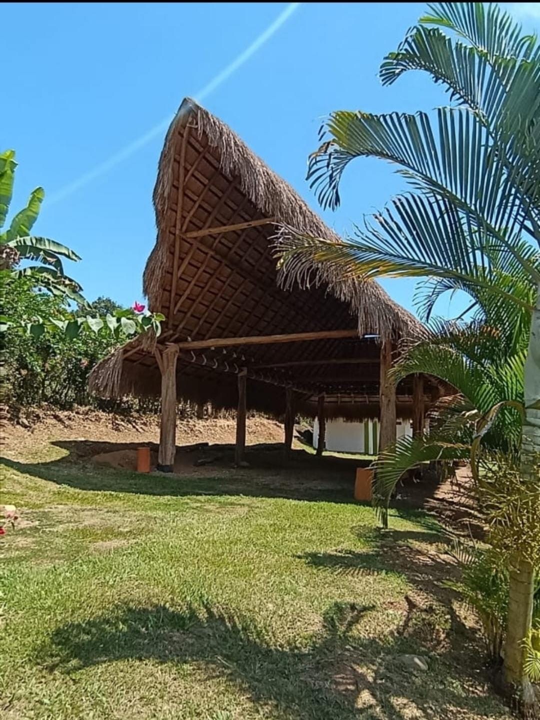 Finca MAKANA — Támesis 5